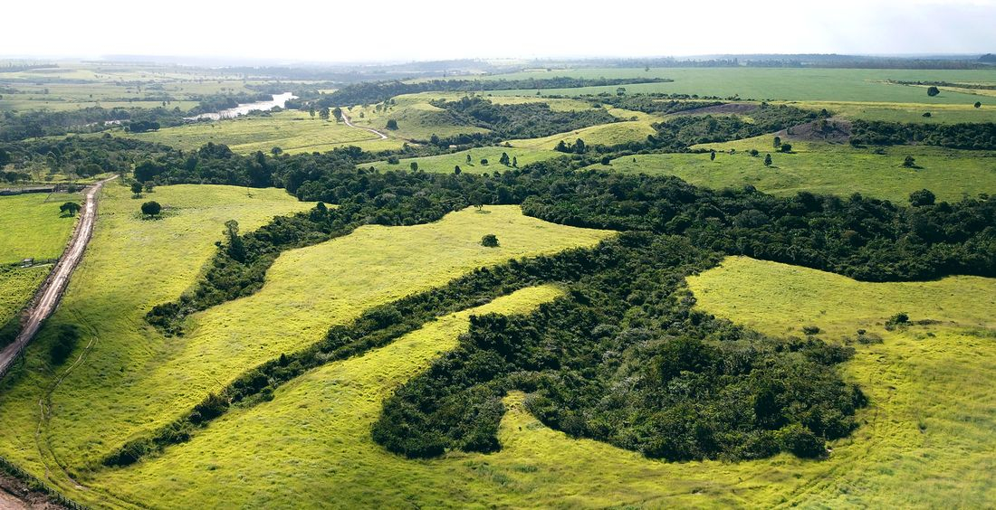 Amazon landscape © © R. Poccard-Chapuis, CIRAD